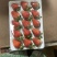 玉溪香野草莓🍓