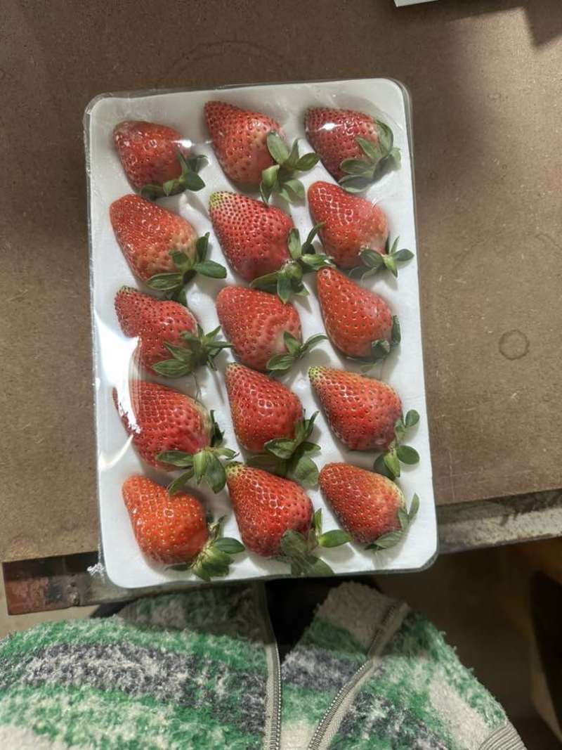 玉溪香野草莓🍓