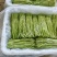 精品芦蒿欢迎北上广的大佬下单。