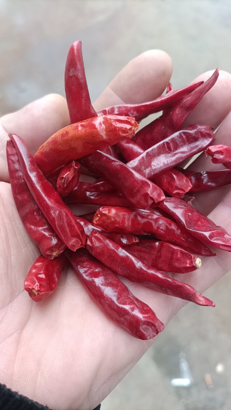 高辣辣椒