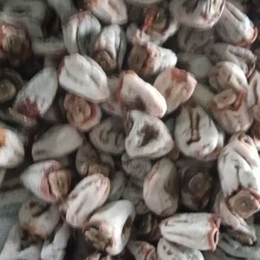 霜饼，大果，一斤12个左右，批发商联系