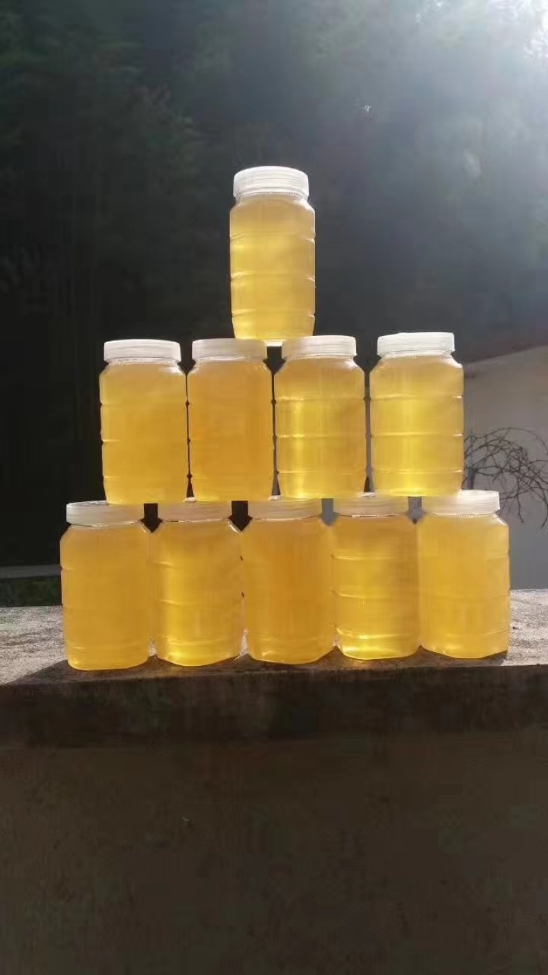黄山枇杷蜜