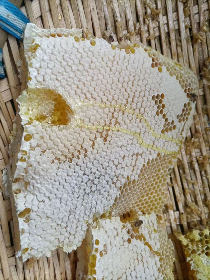 自家土蜂蜜
