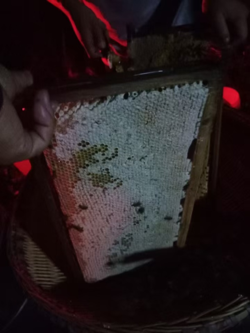 自家土蜂蜜