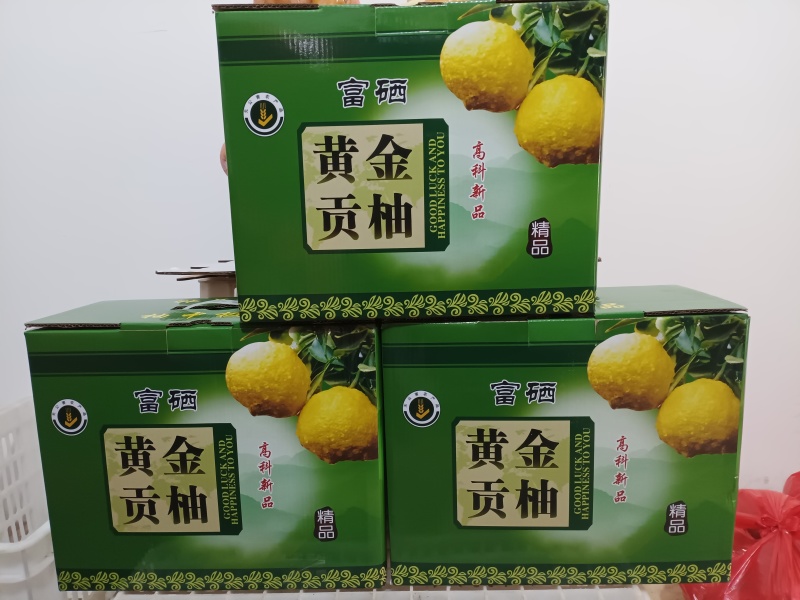 黄金贡柚通货，精品礼盒包装
