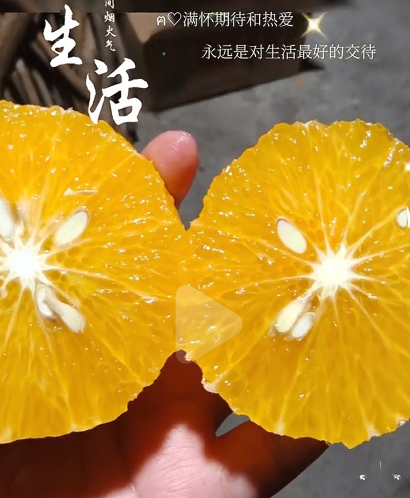 自家桔柚