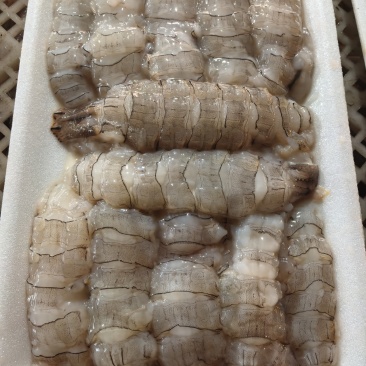 渤海湾海鲜冻品