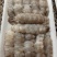 渤海湾海鲜冻品