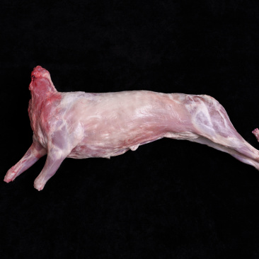 环县羊肉