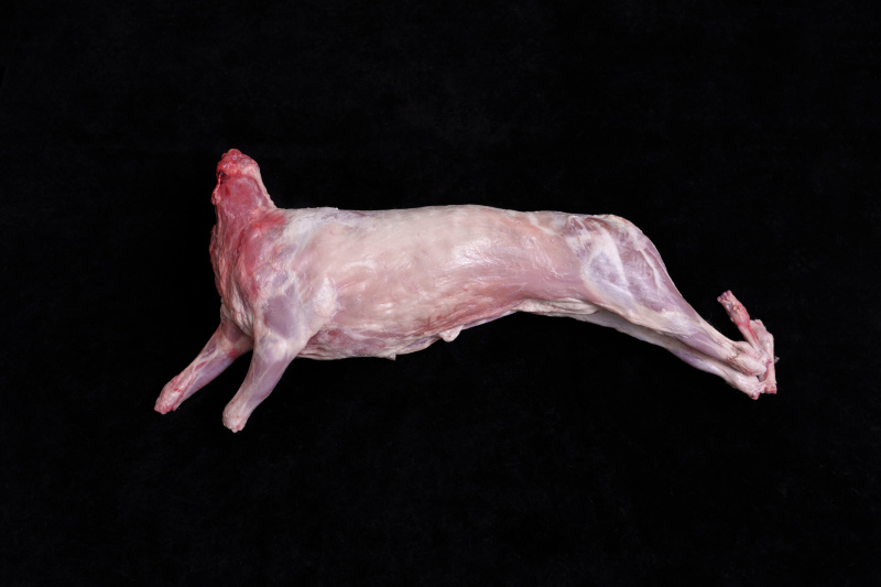 环县羊肉