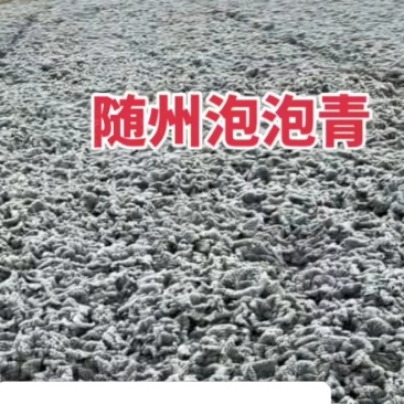 湖北省随州市泡泡青