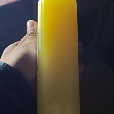 腾冲市红花茶油