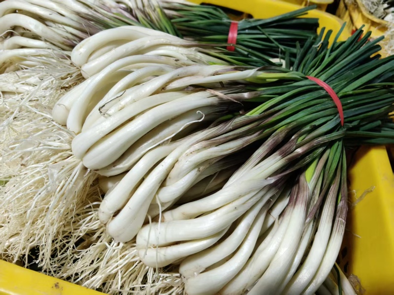 藠头