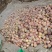 红富士
