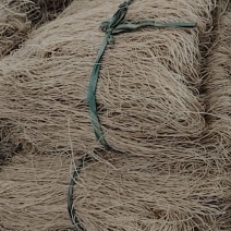薯粉条