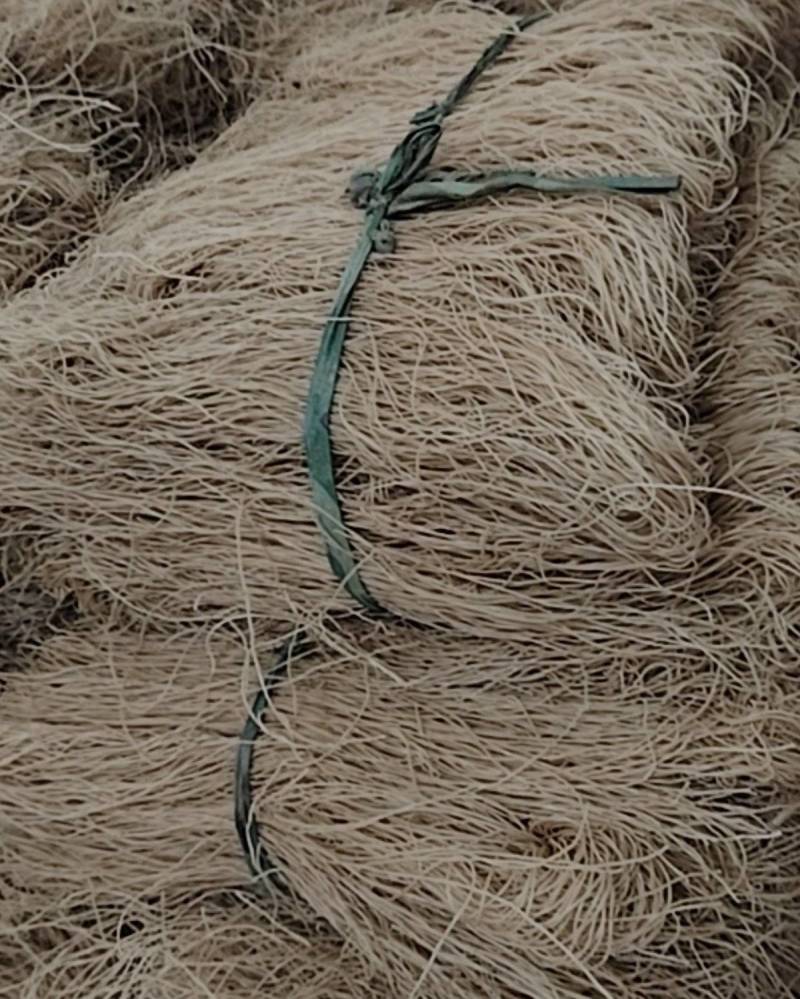 薯粉条
