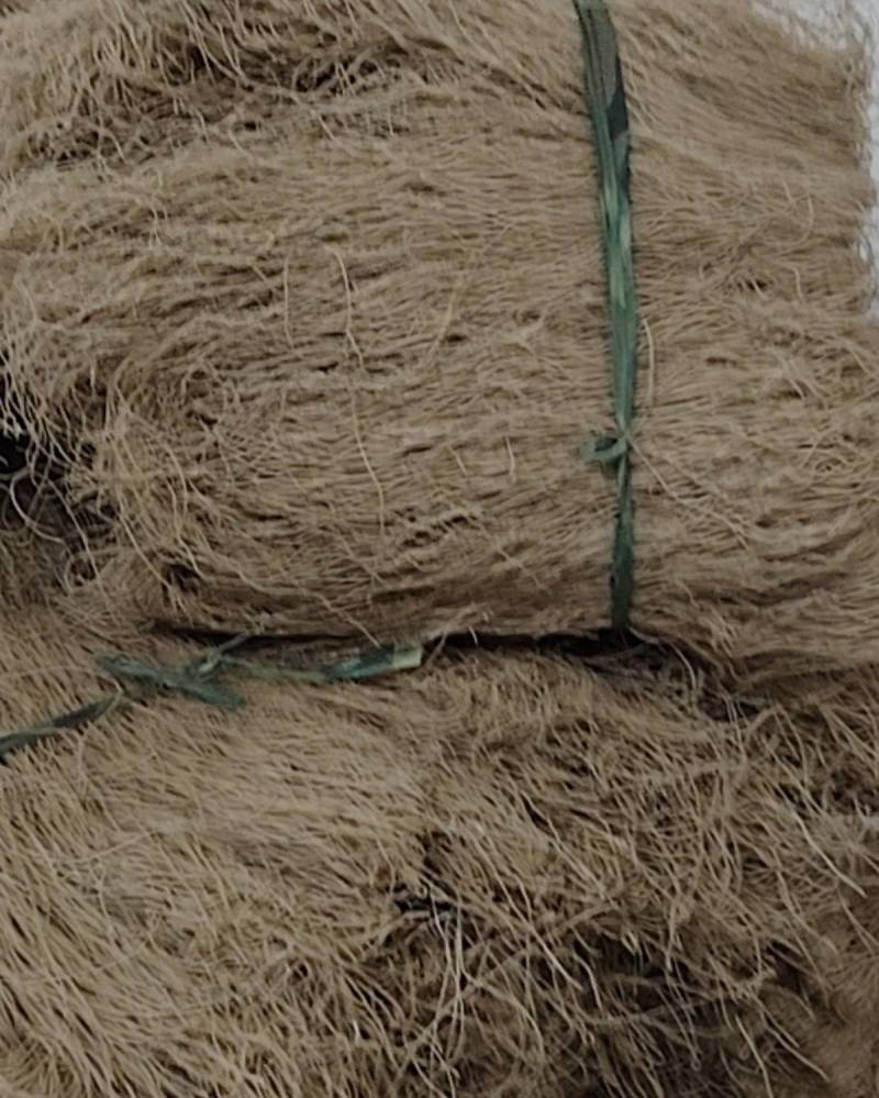 薯粉条