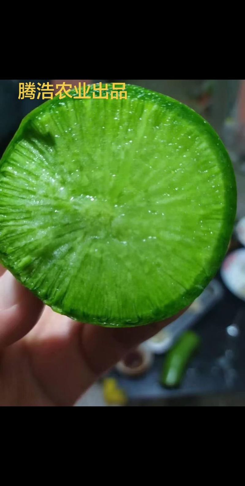 潍坊富硒水果萝卜