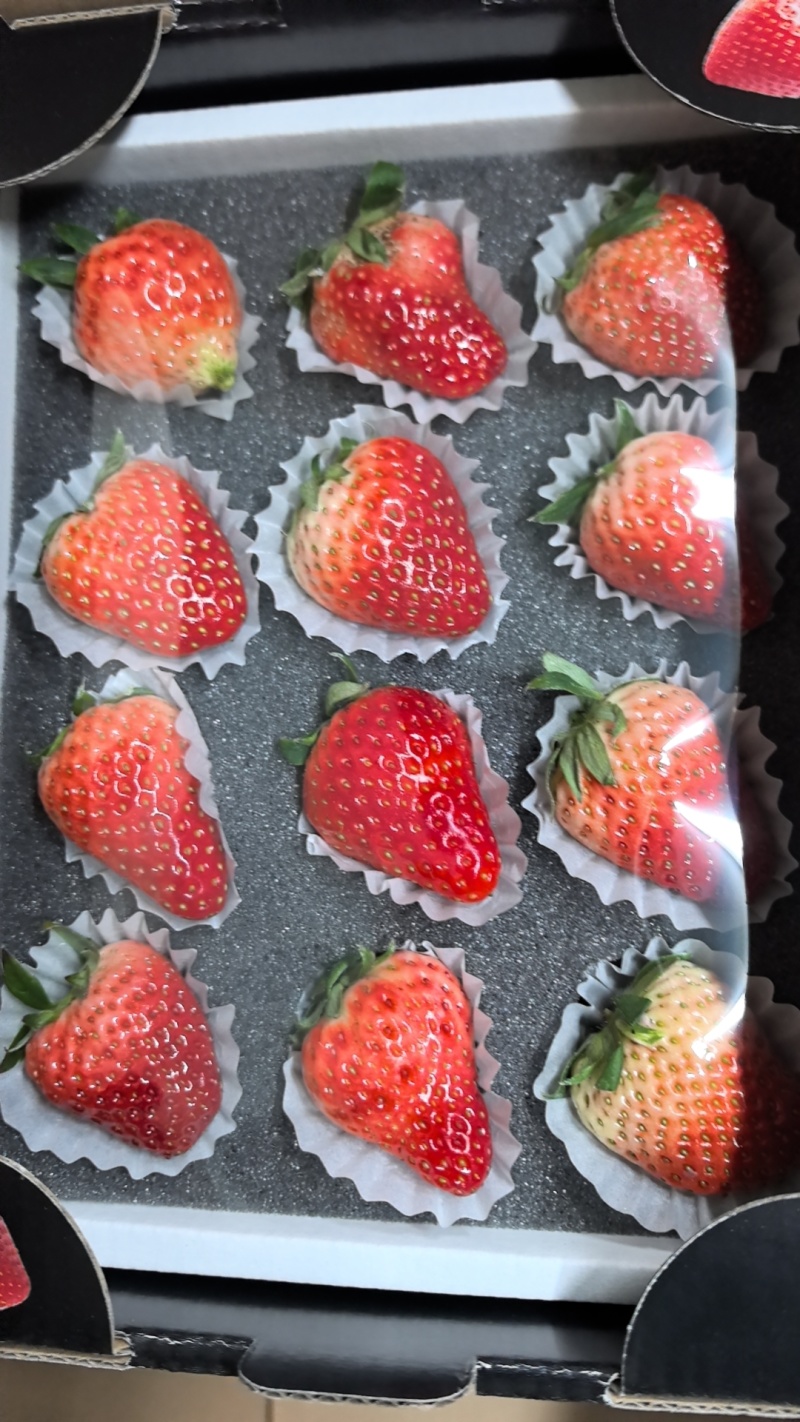 东港红颜草莓