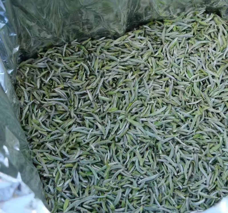 福鼎白毫银针