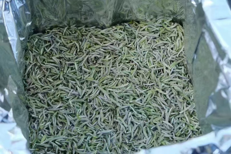 福鼎白毫银针