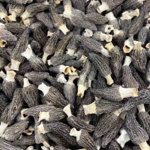 羊肚菌新货价格，不要用新货来比价格！