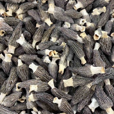 羊肚菌新货价格，不要用新货来比价格！