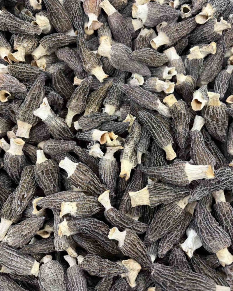 羊肚菌新货价格，不要用新货来比价格！