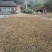山茶油