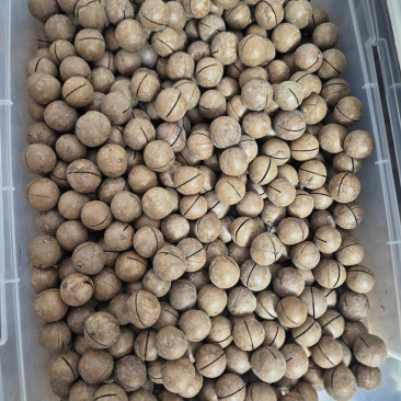 夏威夷果电商货商超果都有，支持各大电商一件代发