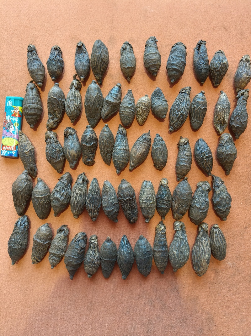 槟榔，有大批槟榔，有意者请联系。