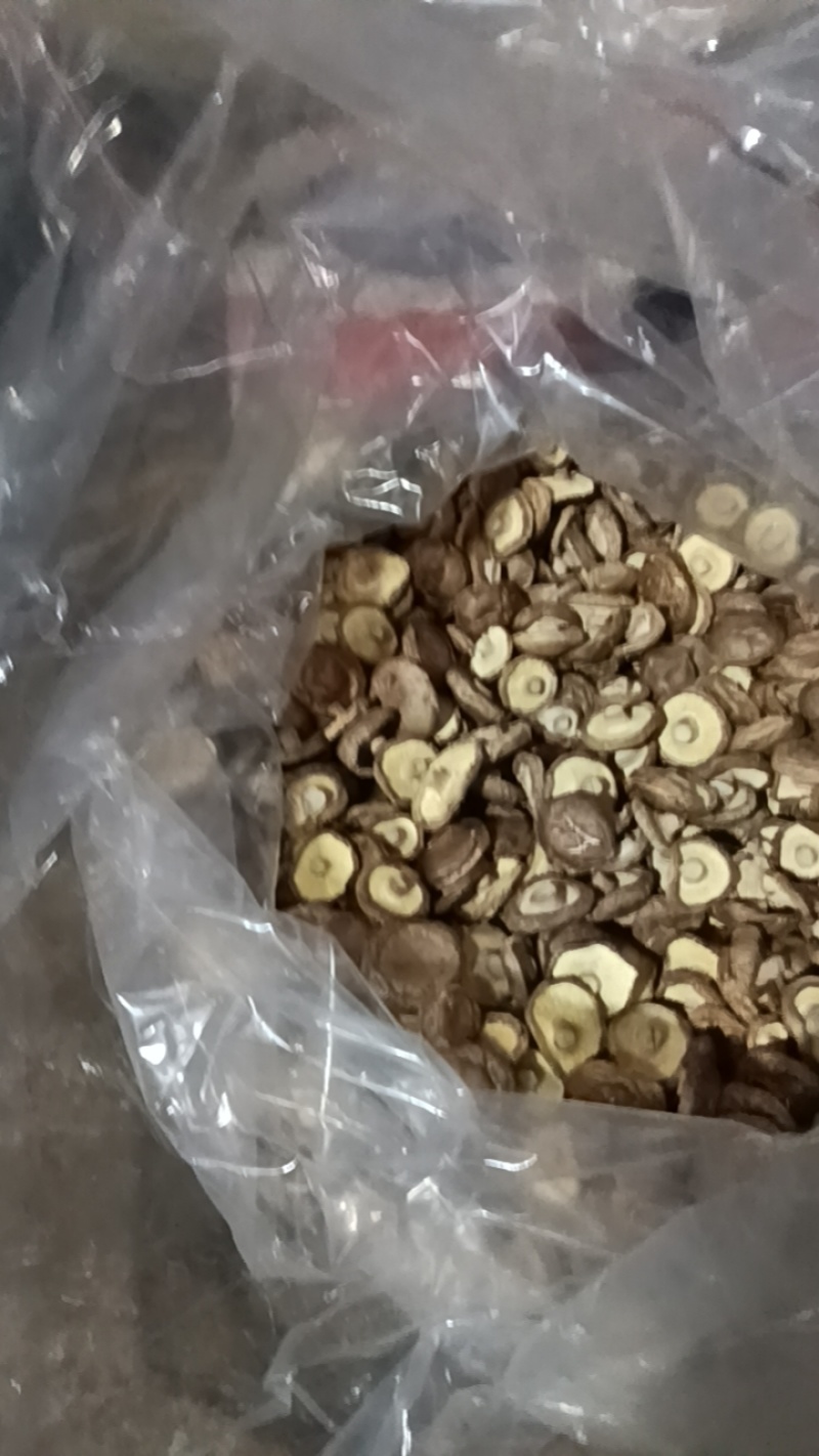 自产自销香信菇