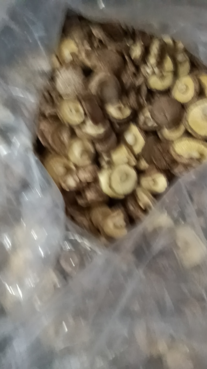 自产自销香信菇