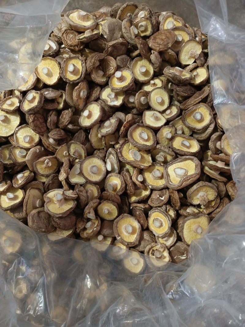 自产自销香信菇