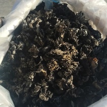 东北黑木耳