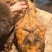 湘西柴火烟熏腊鸭