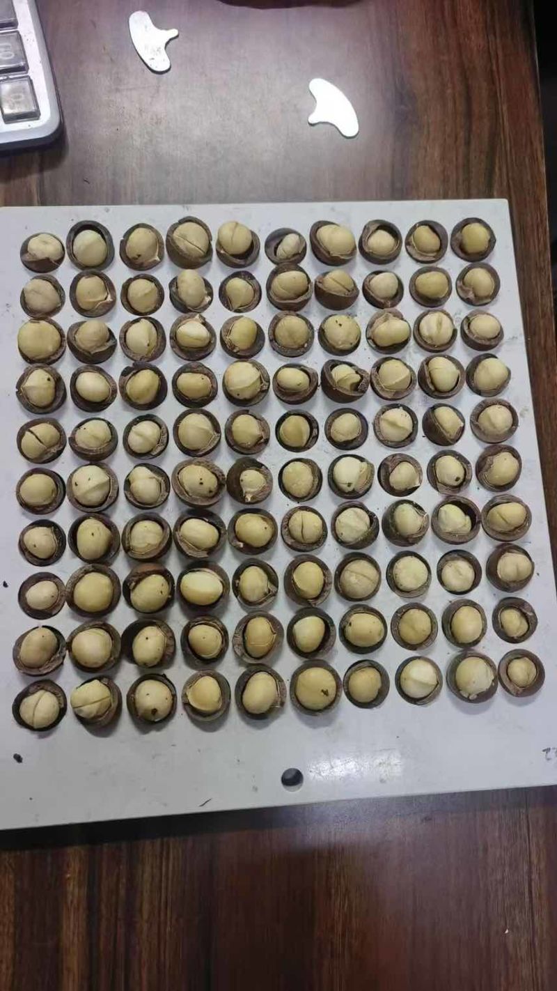 夏威夷果源头厂家，支持一件代发，包退货！有量有价！