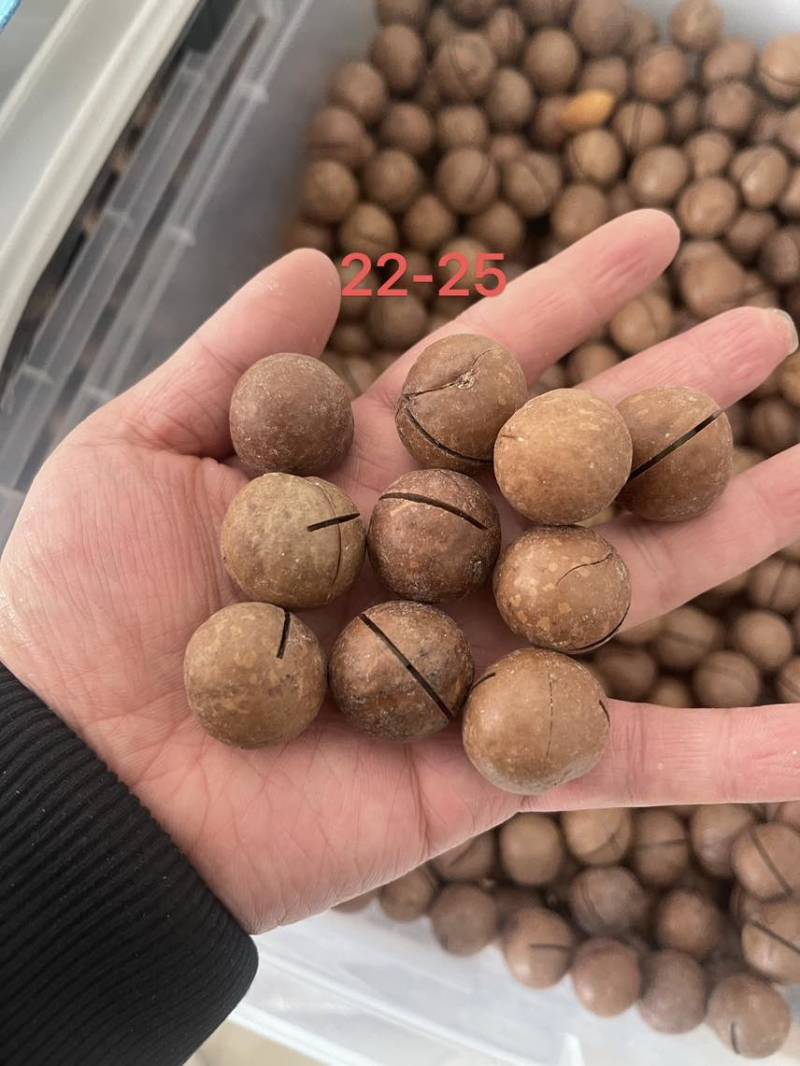夏威夷果源头厂家，支持一件代发，包退货！有量有价！