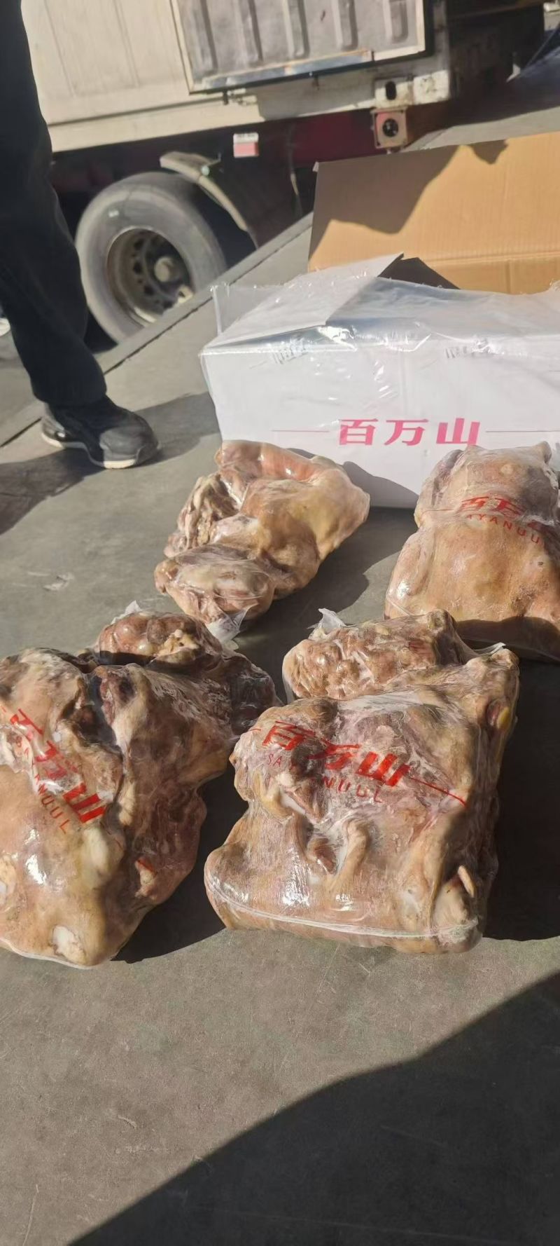 百万山熟羊肉新日期