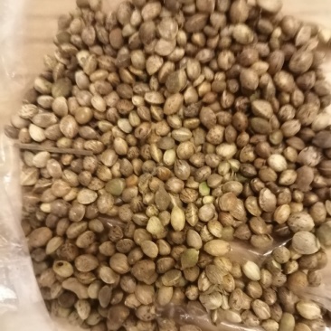 麻子