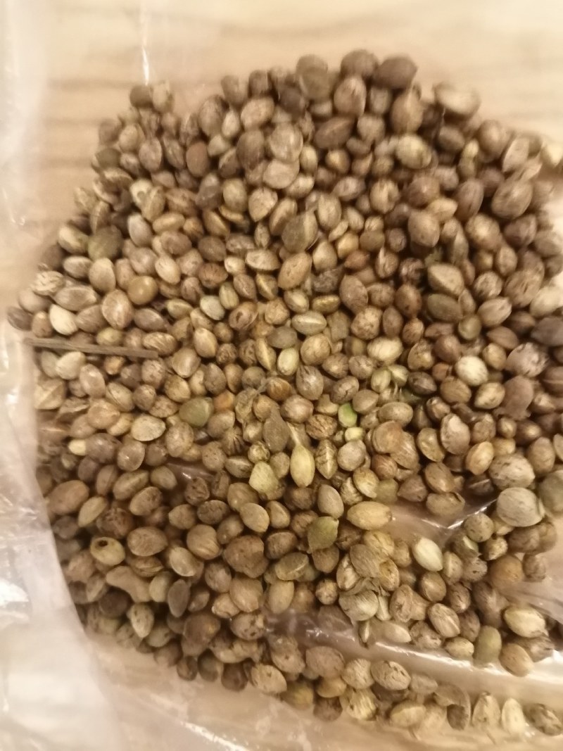 麻子