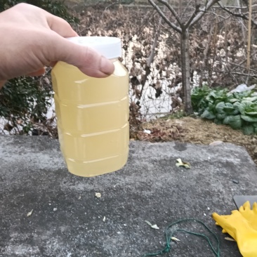 枇杷蜜