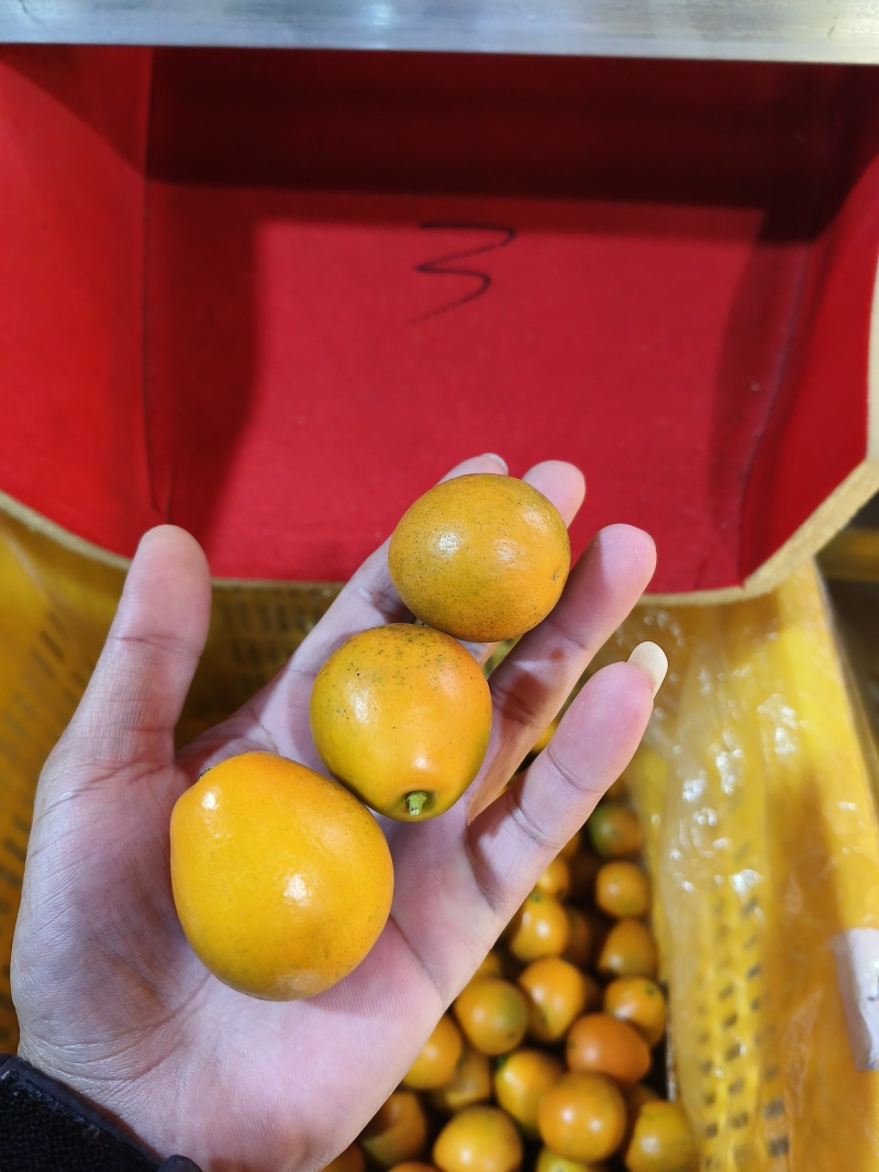 1号为特果等级相差，2号-3-4-5-6