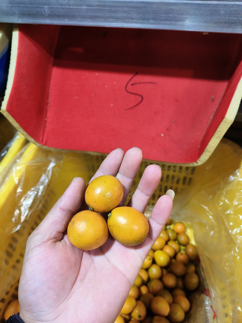 1号为特果等级相差，2号-3-4-5-6
