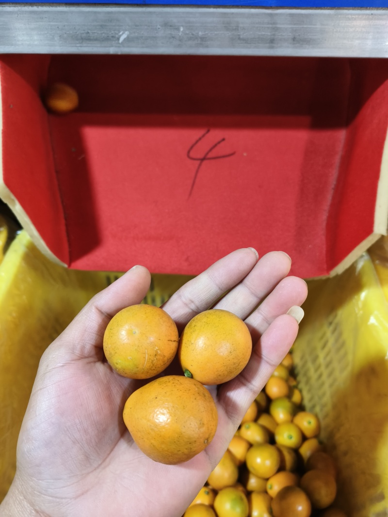 1号为特果等级相差，2号-3-4-5-6