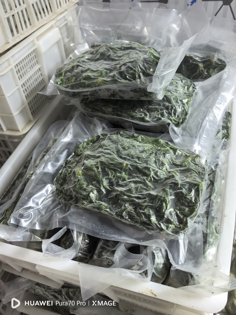 速冻荠荠菜