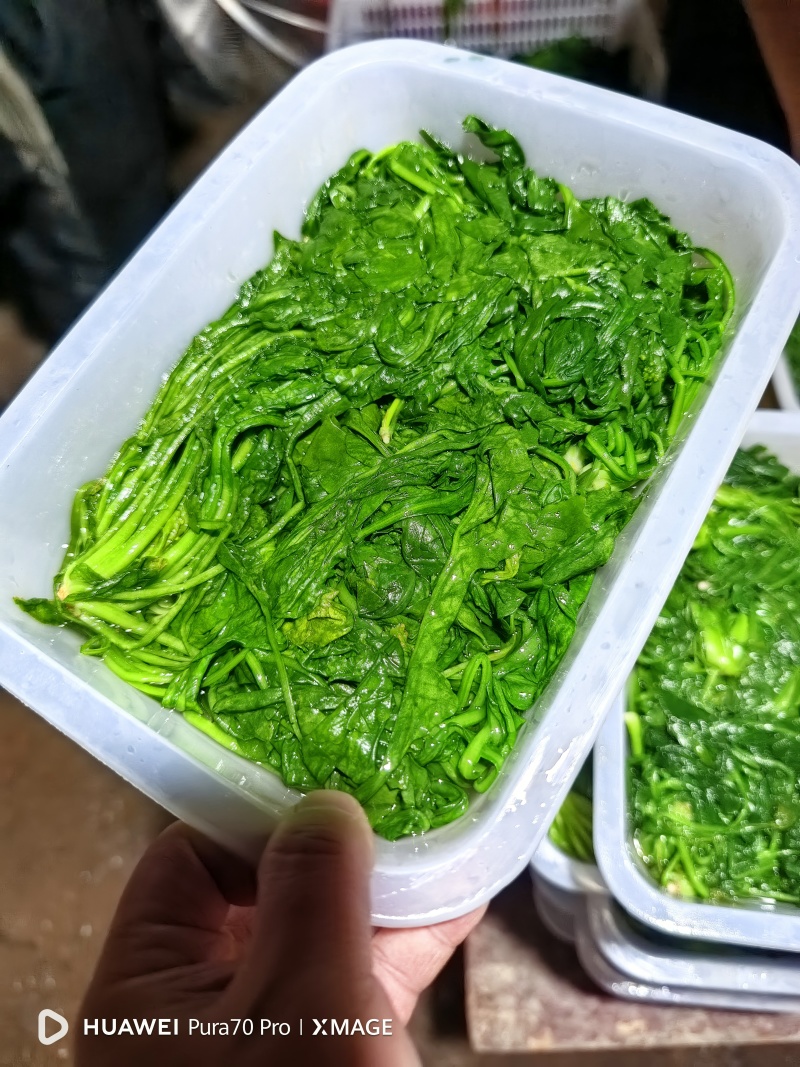 速冻荠荠菜