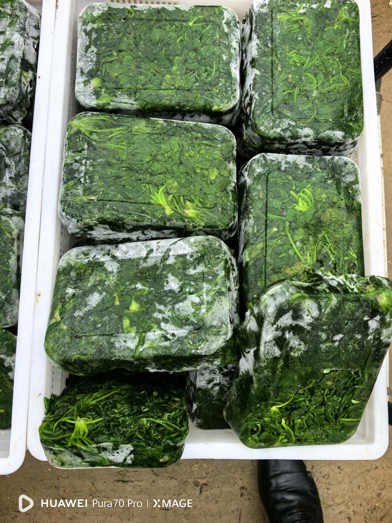 速冻荠荠菜