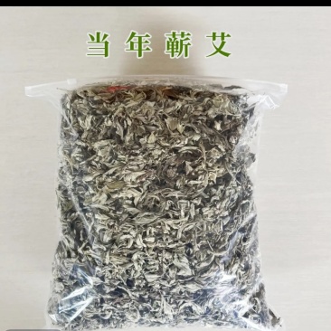蕲春蕲艾叶