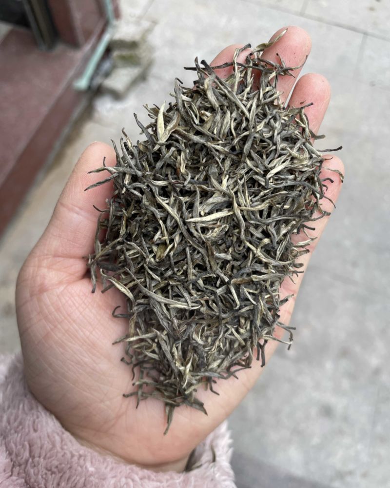 毛尖茶